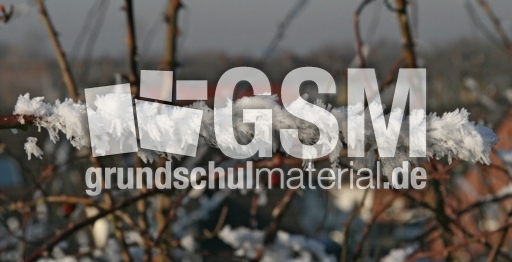 Winterimpressionen 039.jpg